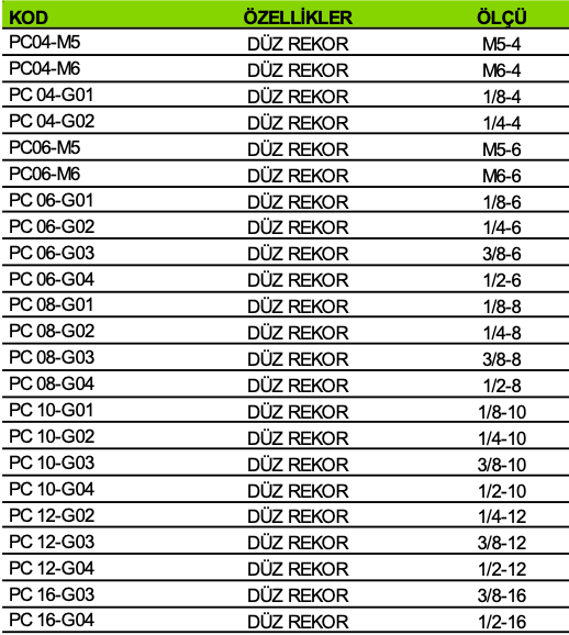 Düz Rekor Çeşitleri